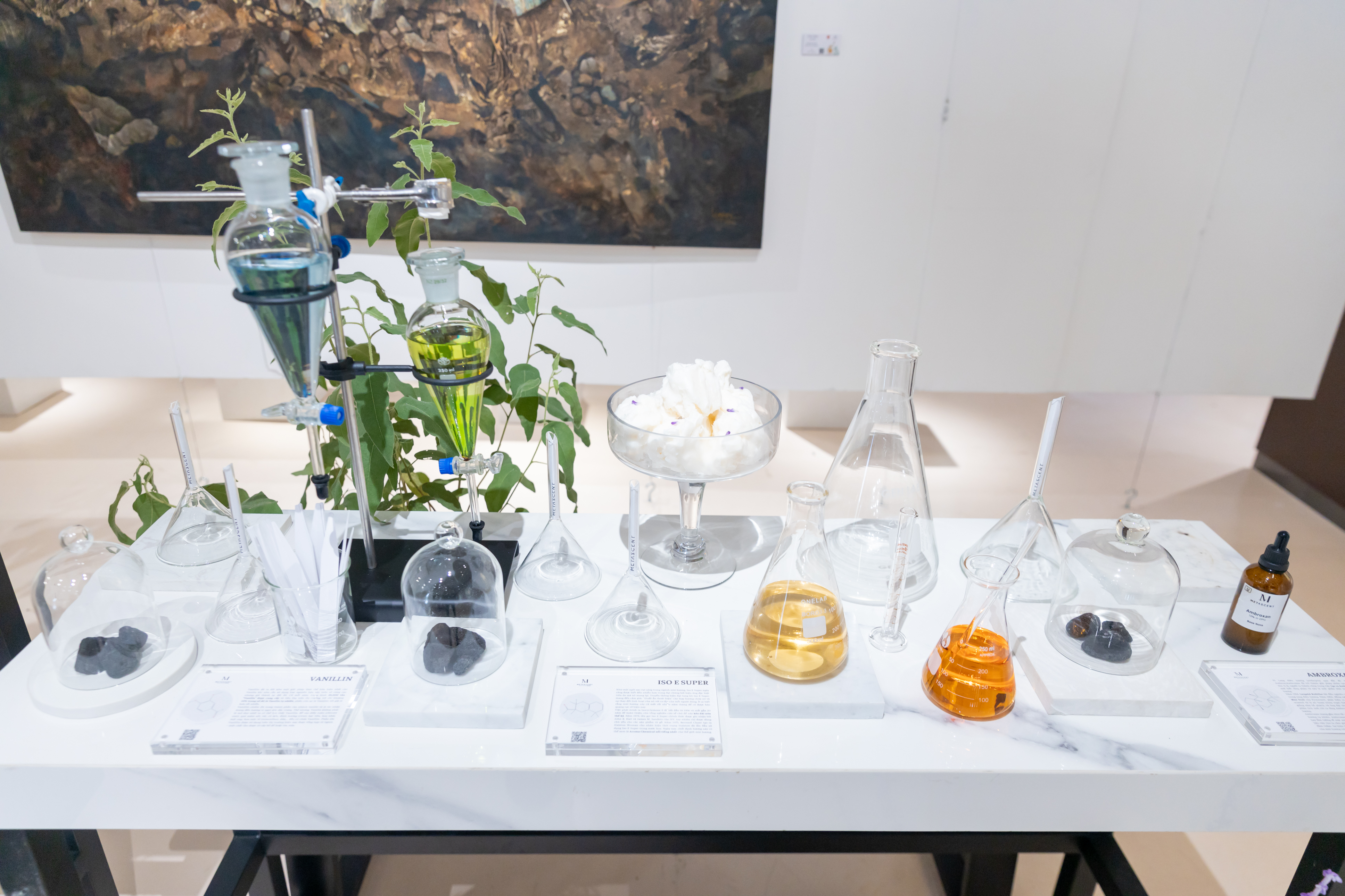 Hinh anh Zone 1 – Perfumer’s Palette 3